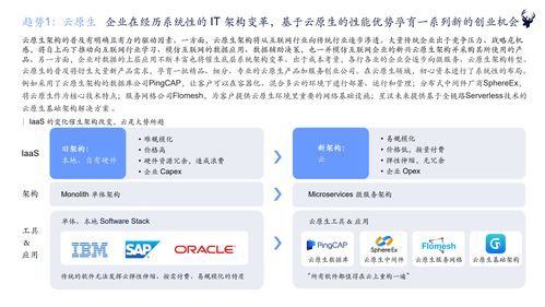 初心資本2021中國企業(yè)服務新趨勢報告 軟件開發(fā)行業(yè)洞察與展望
